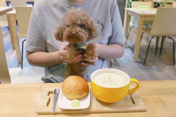 森林小徑文心店对宠物超友善